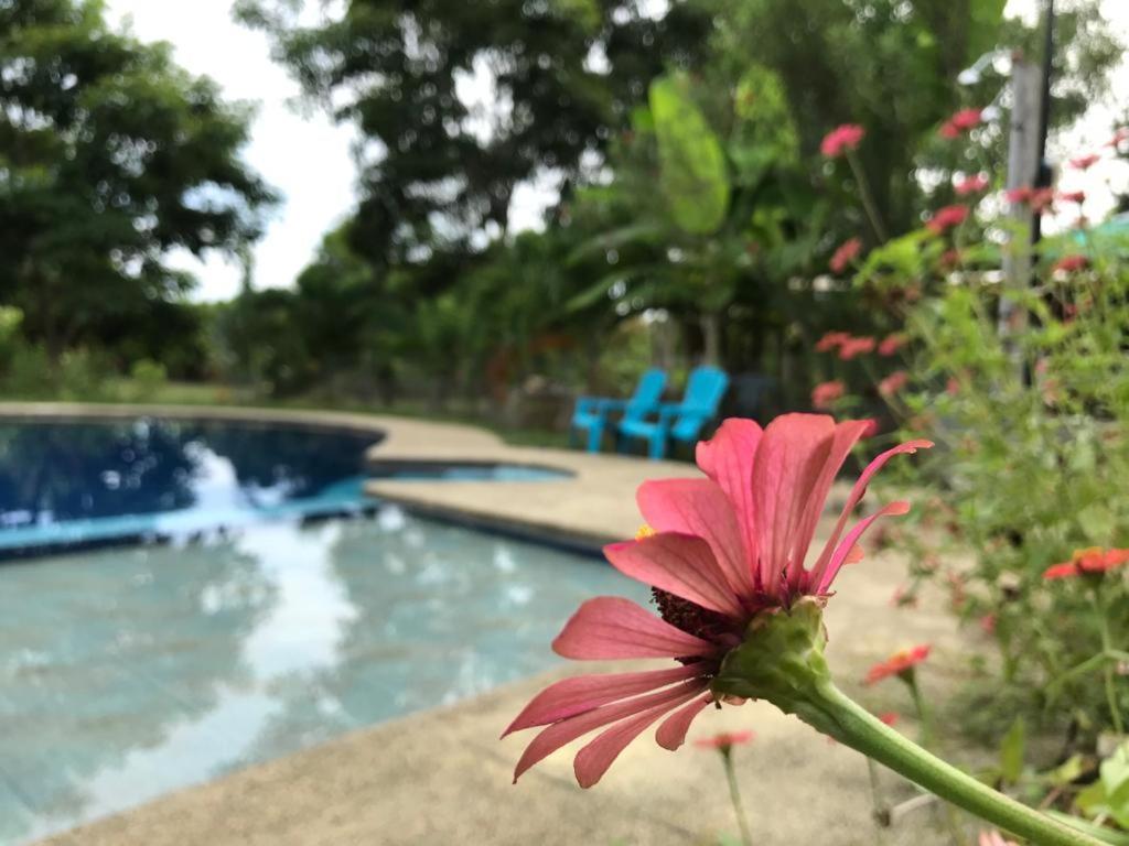 Quinta El Mamey Hotel Río Verde Kültér fotó
