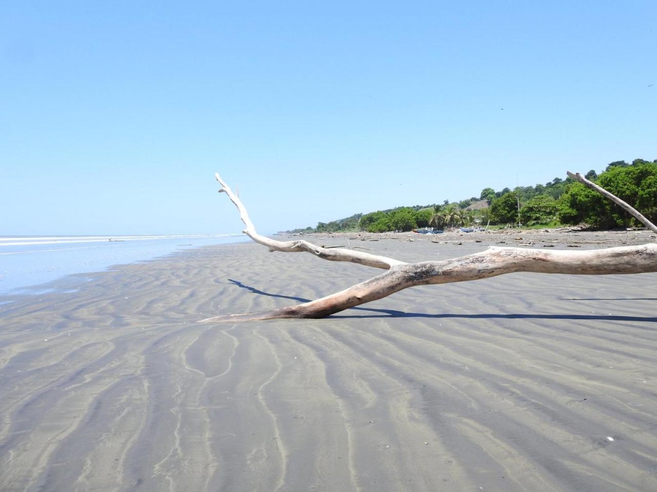 Quinta El Mamey Hotel Río Verde Kültér fotó