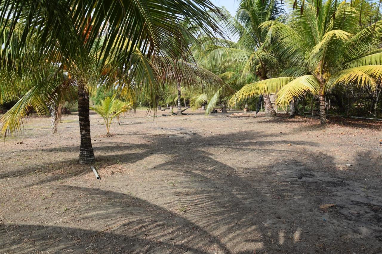 Quinta El Mamey Hotel Río Verde Kültér fotó